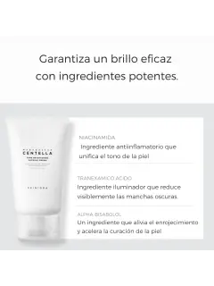 website Plantilla (1).png